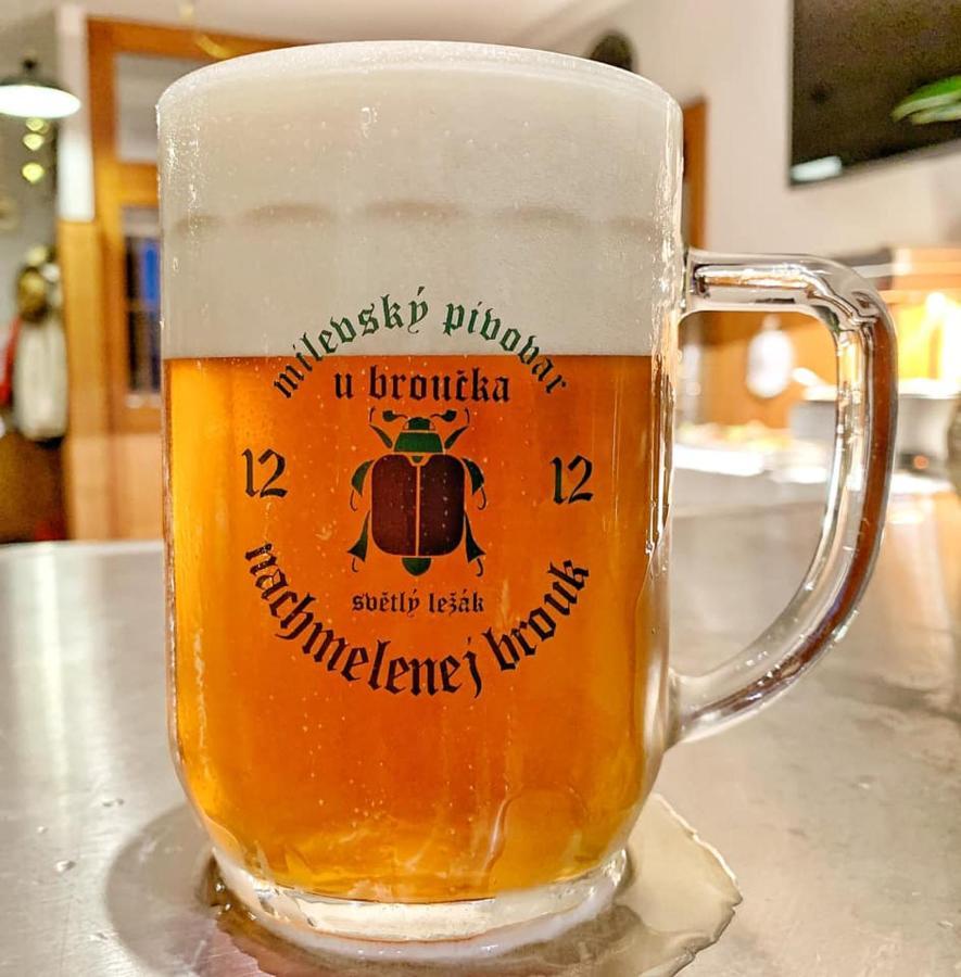 Penzion U Broucka Milevsko エクステリア 写真